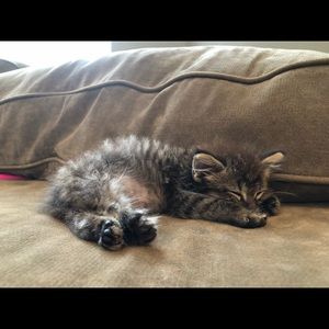 Meet your Posher, Jenna